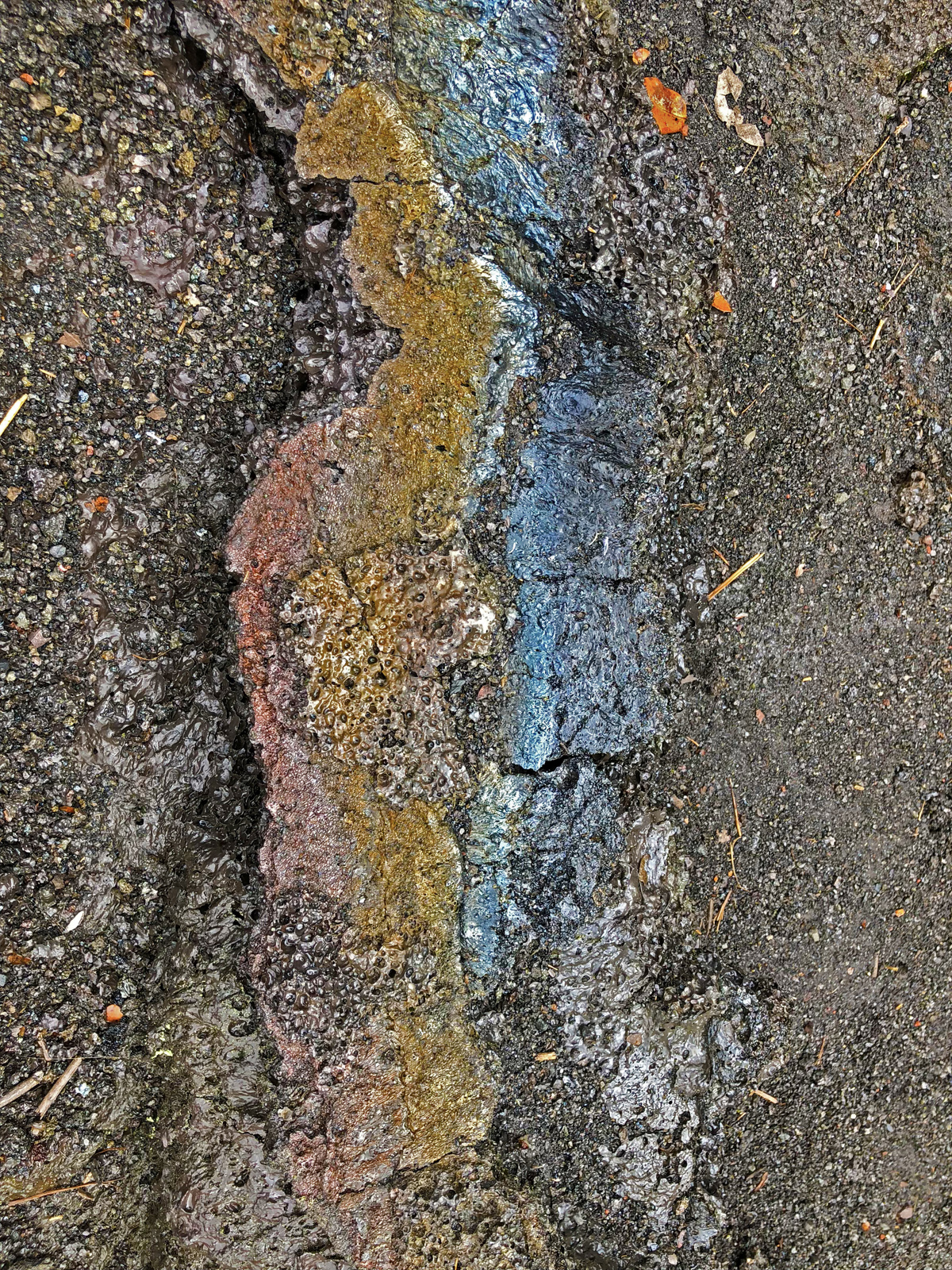 IMG 0806