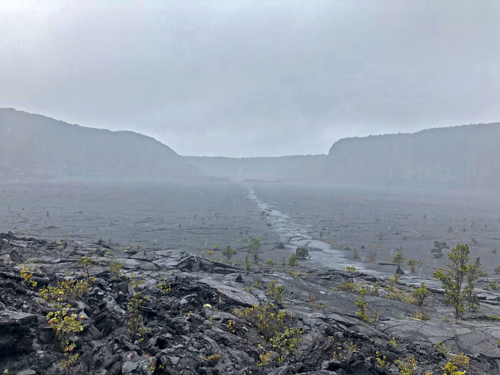 IMG 0816